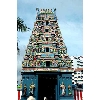 thaipusam hindu temple