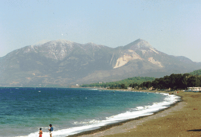 latakkia