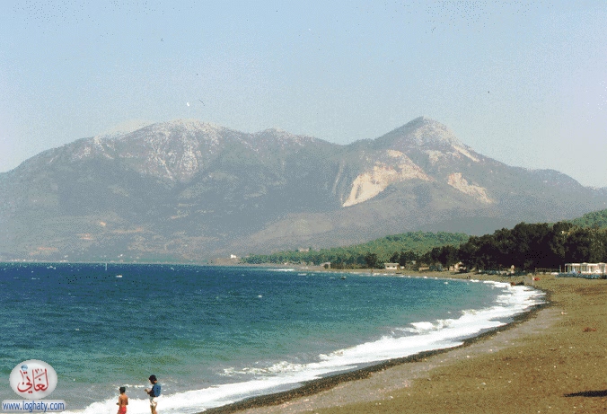 latakkia