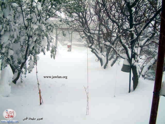 majdal-shams 3