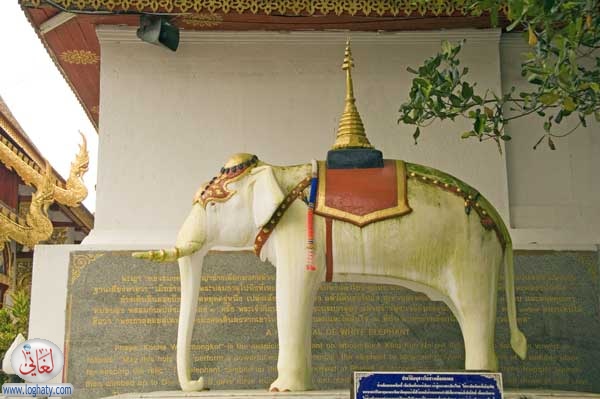 elephant statue doi suthep