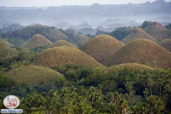 chocolatehills10