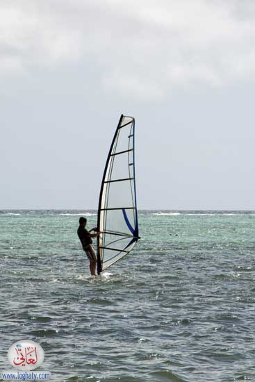 windsurf