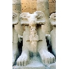 egypt-4z8 egypt-4z8