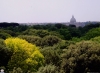 view-of-st-peters-basilica-over-villa-borghese