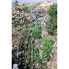 golan-waterfall 3